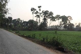 Bangladeş