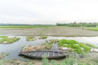 Bangladeş