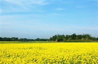 बांग्लादेश