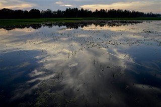 বাংলাদেশ