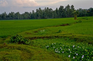 Banglades