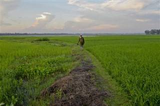 வங்காளம்