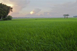 வங்காளம்