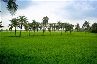 Bangladesh