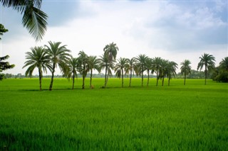 வங்காளம்