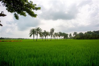 வங்காளம்