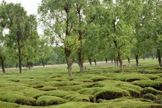 বাংলাদেশ