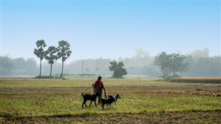 Bangladeş