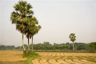 Bangladešas