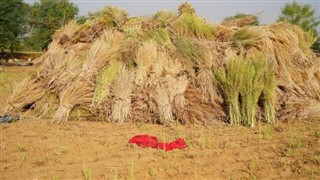 বাংলাদেশ