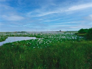 バングラデシュ