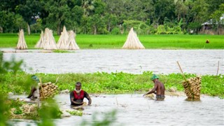 Bangladesh