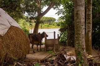 Bangladesh