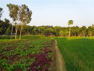 孟加拉國