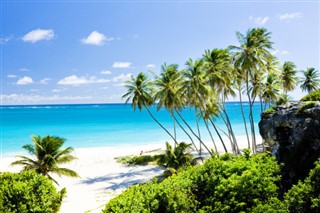 Barbadosa