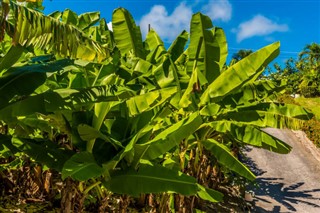 Barbados