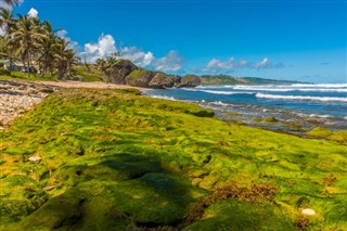 Barbados