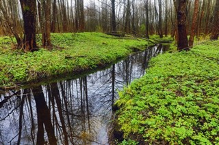 Valko-Venäjä