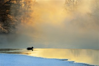 Hviderusland