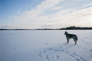 Bělorusko