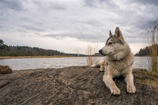 Belarus