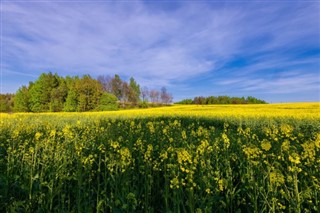 Білорусь