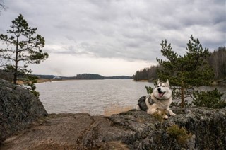 Belarus