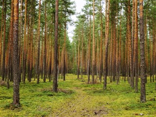беларус