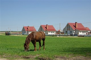 Hvíta