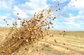 Belarus