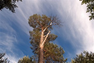 Belarus