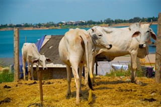 பெலாரஸ்