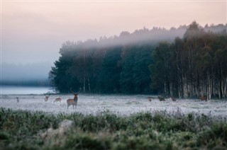 Baltkrievija