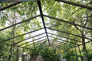 беларус