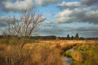 België