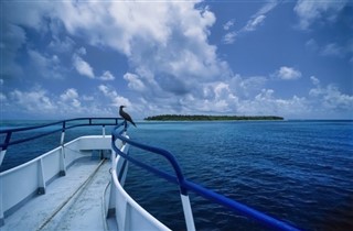 Belice