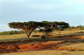 Bénin