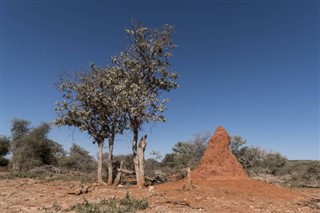 Bénin