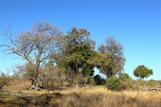 பெனின்
