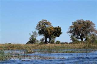 Bénin