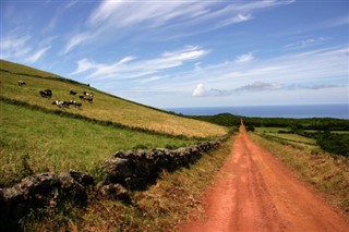 Bermuda