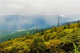 بوتان