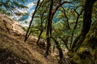 Bhutan