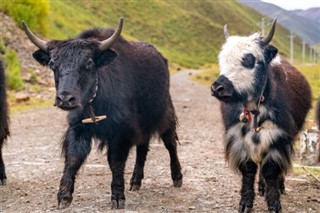 Bhutan