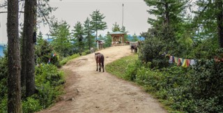 Bhutan