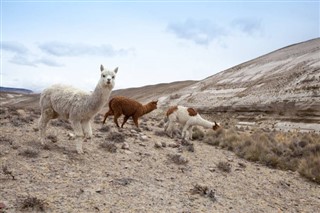 Bolivia