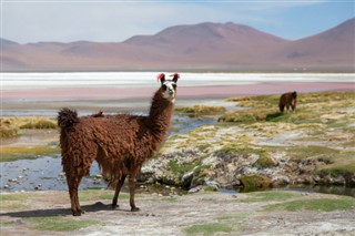 Bolívia