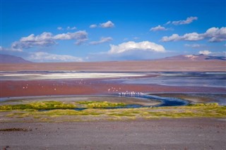 Bolivie