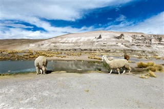 Bolivie