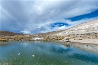 Bolivija